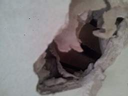 fkillineybeforeinternal 1055.jpg